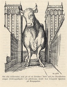 Stockholmarnas årliga nötköttskonsumtion illustrerad som ko mellan Kungstornen