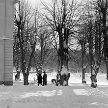 Park vintertid, med promenerande människor och skidåkande barn