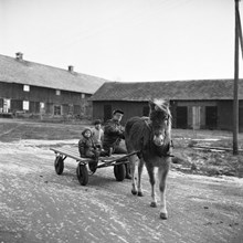 Ågesta Gård. Godsarrendatorn Bo Krusenstierna med barnen Fredrik och Julie och hästen Laila lämnar gården för utflykt mot berget där Atomverket ska byggas