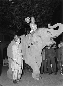 Skansen. Cirkusartisterna Gerda Rostando och Greta Malmstorp gör entré ridandes på en elefant vid öppnandet av Djurgårdsmässan