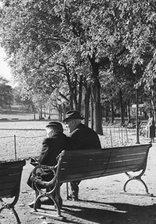 Äldre par som sitter på bänk i Vasaparken