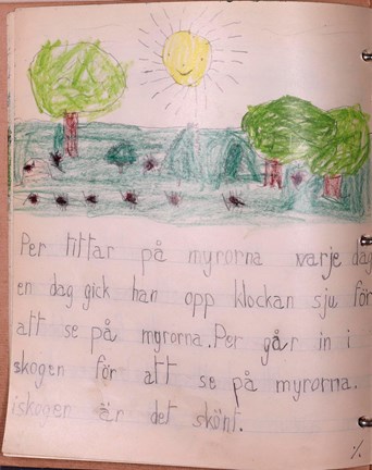 Teckning av myror och skriven text  av 7 åring.