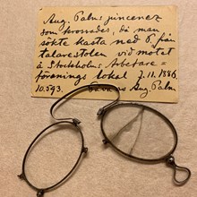August Palms glasögon
