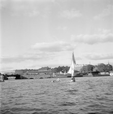 Riddarfjärden, mot Stadshusbron och Klara Mälarstrand. Sjöscouternas seglingstävling