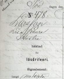 Hustru Lisa Laura Larsson, 46, häktad för lösdriveri 17 juli 1887 - polisförhör