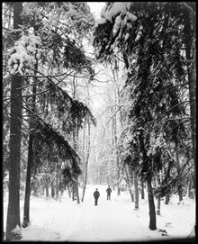 Lill-Jansskogen vintertid