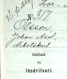 F.d. arbetskarlen Johan Axel Olsson, 33, häktad för lösdriveri 27 juni 1891 - förhörsprotokoll