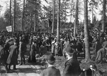 Rösträttsdemonstration i Lilljans-skogen år 1902