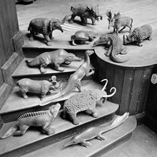 Arbetareinstitutet, Klara Norra Kyrkogata 8. Modeller av förhistoriska djur uppställda i en trappa