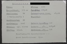 Beskrivning av 5 åriga Birgittas näsa, ansiktsform, hårtyp mm  - skolarbete 1938-1939