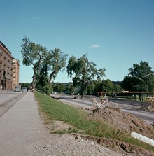 Västra delen av Norr Mälarstrand och byggandet av gångbron över Rålambshovsleden. I bakgrunden popplar. Vy österut