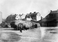 Höhandel, hästar med hölastade vagnar vid Roslagstorg 16. Dåvarande kv. Lerlaven, nu Birger Jarlsgatan 46-48, kv. Asken