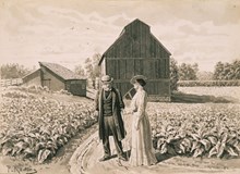 Herre och dam vid tobaksplantering 1907