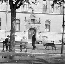 En man promenerar med hunden förbi Bünzowska huset, Strandvägen 29