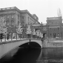 Riksbron mot Riksdagshuset. Julgranar pyntar broräcket