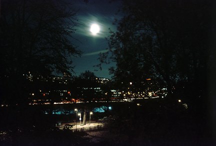 Mörk bild med månen som lyser mellan träden