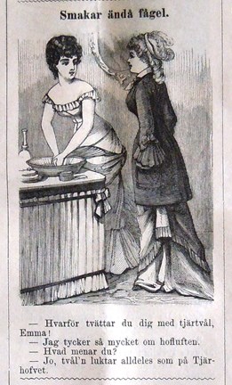 Smakar ändå fågel. Bildskämt i Söndags-Nisse – Illustreradt Veckoblad för Skämt, Humor och Satir, nr 47, den 24 november 1878
