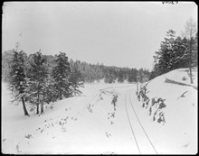Järnvägsspår i Uggleviksskogen på Norra Djurgården