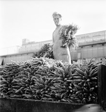 Grönsaksförsäljning på Klaratorget  år 1951