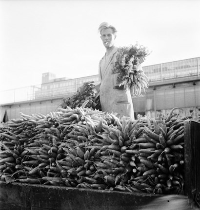 En man står utomhus bakom en hög med majskolvar för försäljning
