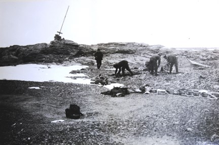 Fotografi från Andrée-expeditionens sista läger, tagen 1930