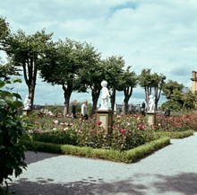 Skansen. Rosenplanteringar, skulpturer och träd vid Sagaliden