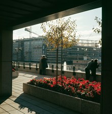 Stockholmsterrassen; plantering med röda begonier och vy mot byggandet av Kulturhuset