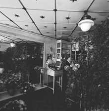 Klarabergsgatan 23. Interiör från A. Olssons blomsterhandel