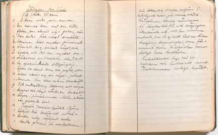 De bifogade filerna visar scannade anteckningssidor från Lena Sandells dagbok från Parkleken i Björns trädgård