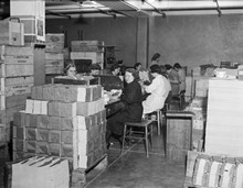 Kvinnor sitter och arbetar vid högar av motböcker. Bilden är tagen i samband med motbokssystemets 25-år jubileum år 1939.
