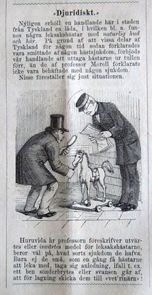 ”Djuridiskt”. Bildskämt om importerade leksakshästar i Söndags-Nisse – Illustreradt Veckoblad för Skämt, Humor och Satir nr 36, den 8 september 1878