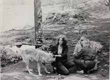 Enskede gårds gymnasium: djurvårdare 1984
