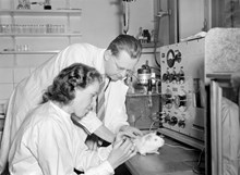 Experiment på marsvin utförs på Radiofysiska institutionen på Karolinska sjukhuset. Laborator Arne Forsberg