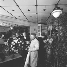 Klarabergsgatan 23. Interiör från A. Olssons blomsterhandel