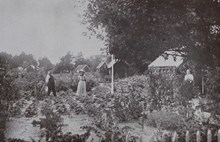 Fredhälls trädgårdskoloni 1913