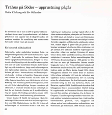 Trähus på Söder - upprustning pågår / Brita Kihlborg och Siv Odlander