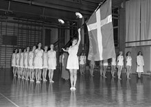 Lidingövägen 1, Gymnastiska Centralinstitutet. Uppvisning av svenska och danska trupper