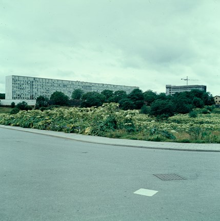 Radiohuset sett från hörnet av Gärdesgatan och Valhallavägen. Byggnadsarbeten i kv. Garnisonen.