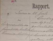 Hermanda Hedberg, 33, rapporteras av grannar vara oförmögen att ta hand om sina barn - polisrapport inkommen till dårdiariet 28 juli 1892
