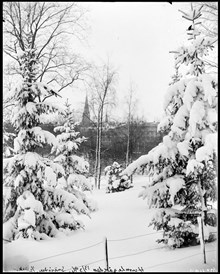 Vinterbild av Humlegården