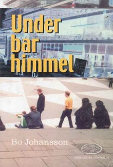 Under bar himmel : en resa till det okända Stockholm / Bo Johansson