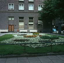 Plantering med alyssum framför Ahlströmska Skolan, Kommendörsgatan 31, sedd från gatan
