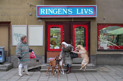 Damer och livliga hundar utanför Ringens Livs i Årsta